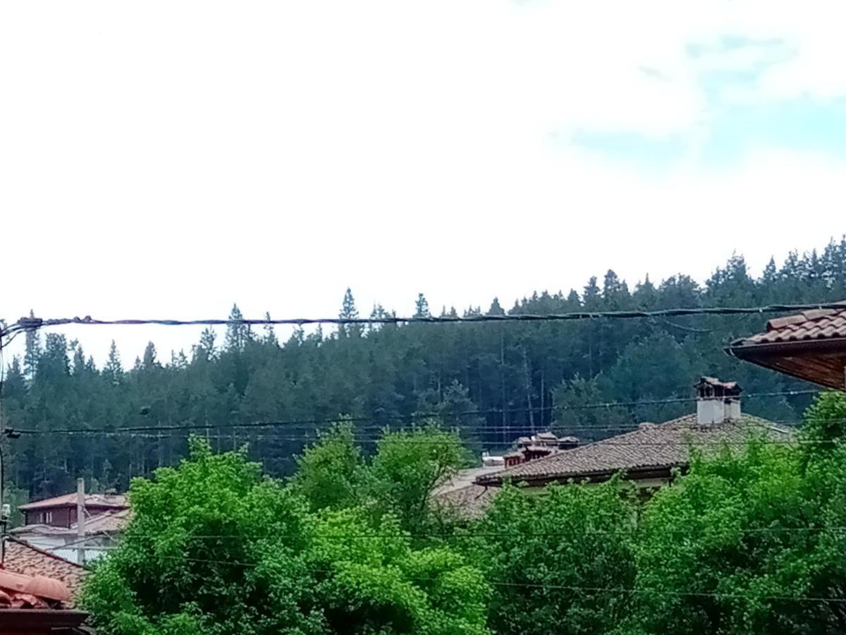 Стаи За Гости Милена Koprivshtitsa Buitenkant foto